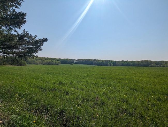 Back 40 clearing facing Southeast | Image 6