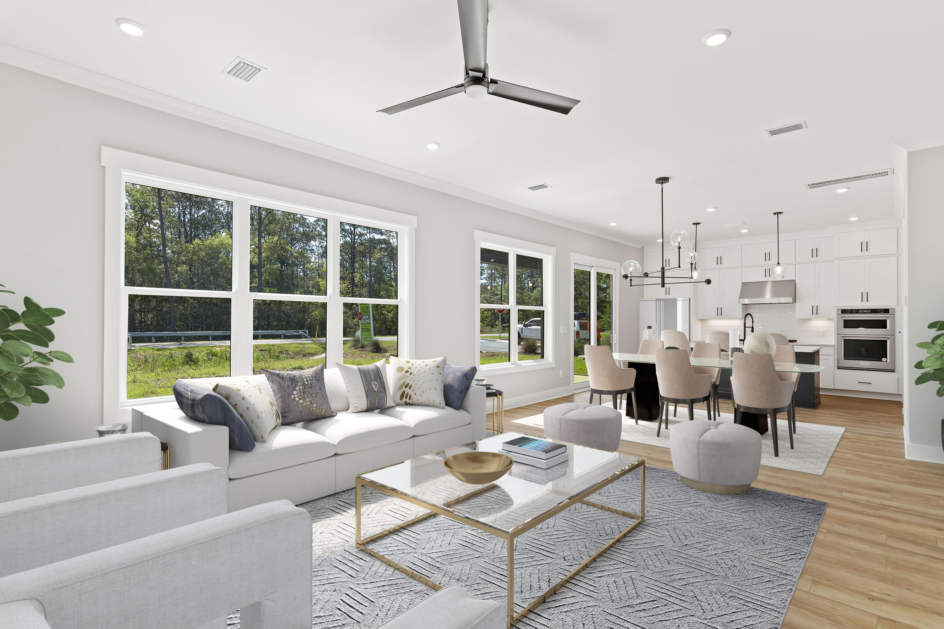 Residential in Santa Rosa Beach 2