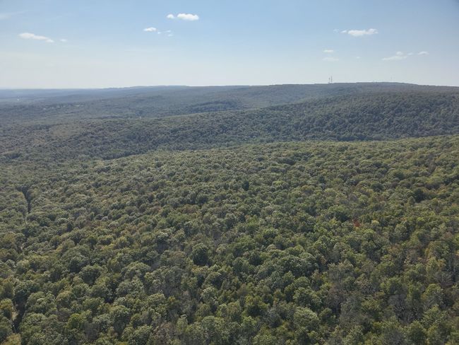 0 Forest Rd, Home with 0 bedrooms, 0 bathrooms and null parking in Boswell PA | Image 11