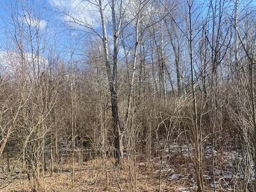 V/L Hess Road, Vassar Township, MI, 48746 | Card Image