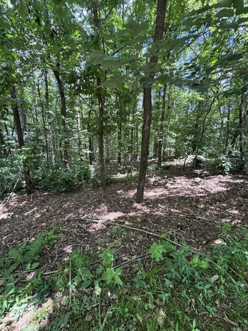 49 La Granja Cir, Hot Springs Village, AR, 71909-2652 | Card Image