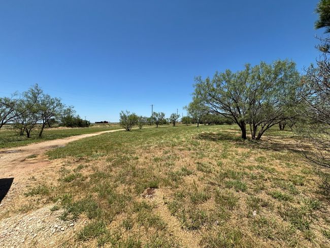 6480 Fm 603, House other with 4 bedrooms, 2 bathrooms and null parking in Clyde TX | Image 16