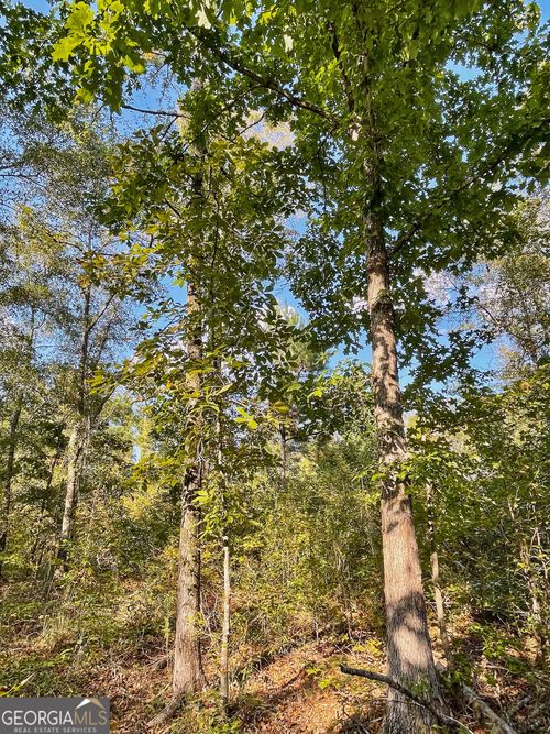 0 S Mulberry St, Jackson, GA, 30233 | Card Image