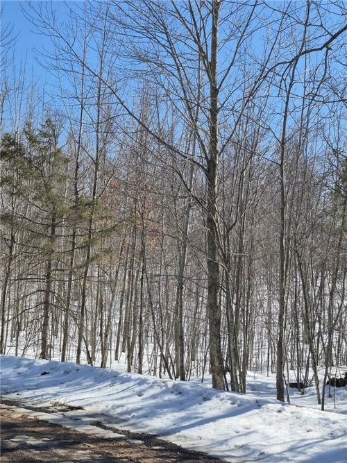 Lots 10 & 11 Wintergreen Trail, Danbury, WI, 54830 | Card Image