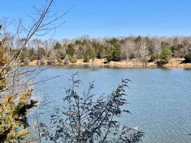 000 Brewer Rd, Home with 0 bedrooms, 0 bathrooms and null parking in Conway AR | Image 33