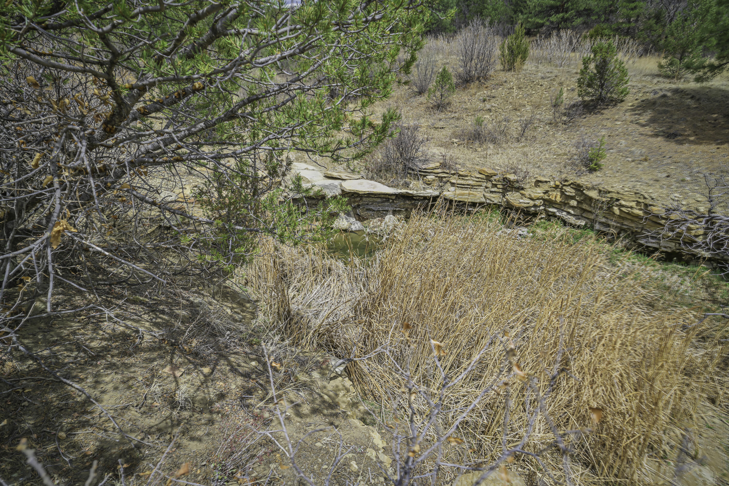 Land in Weston 5
