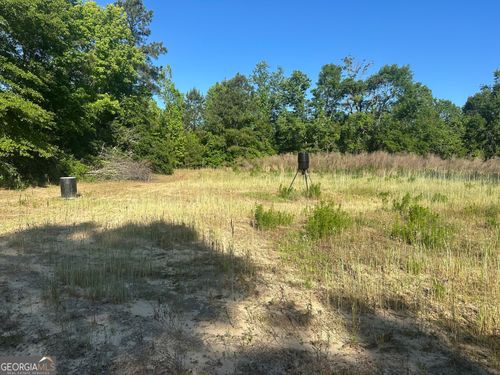 0 Bull Branch Rd, Midville, GA, 30441 | Card Image