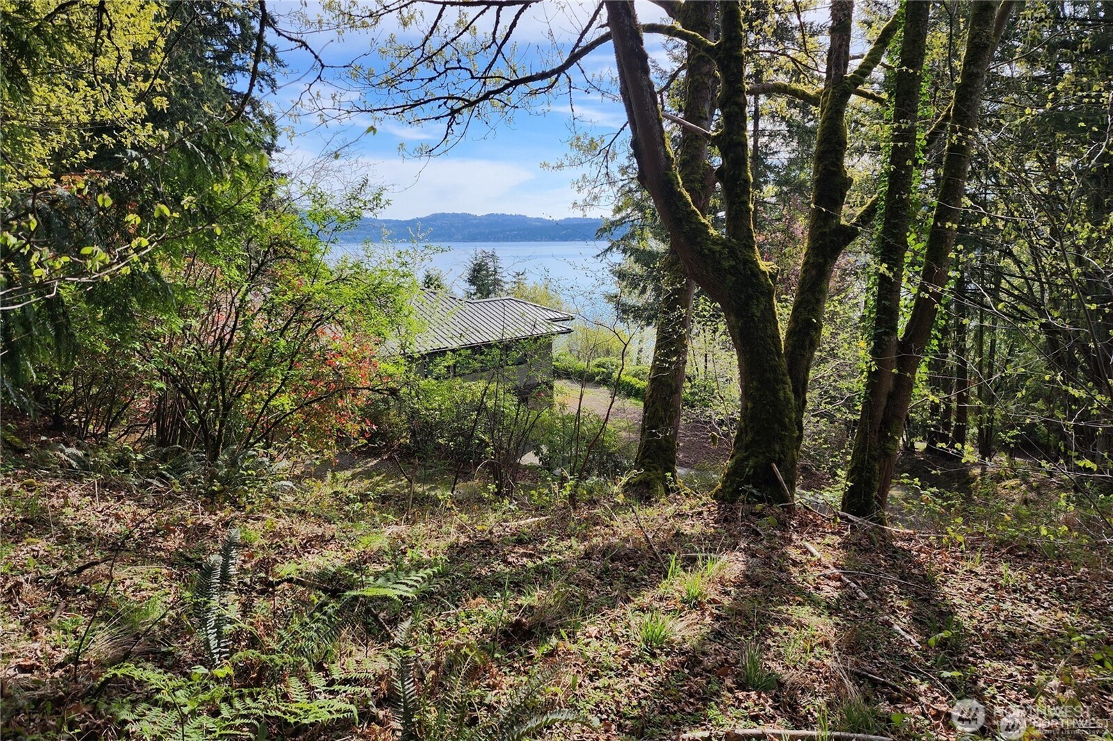 Land in Sammamish 5