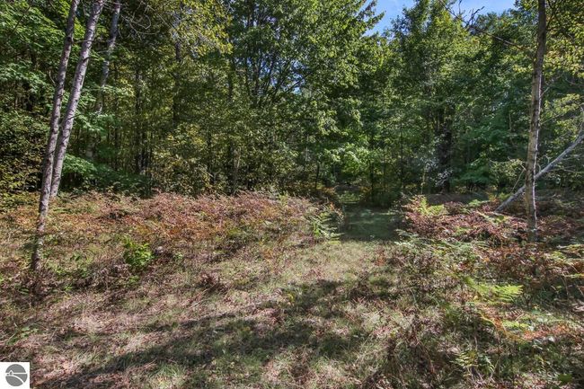11349 W 10 Rd, House other with 2 bedrooms, 1 bathrooms and null parking in Copemish MI | Image 34