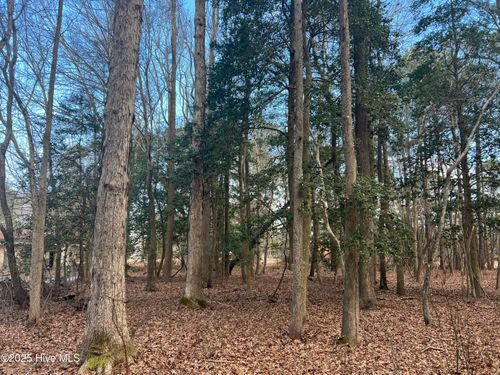 0 Bridgersville Rd, Macclesfield, NC, 27852 | Card Image