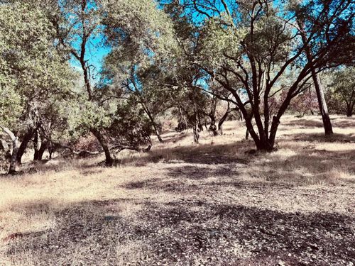 4980 Mourning Dove Ln, Shingle Springs, CA, 95682 | Card Image