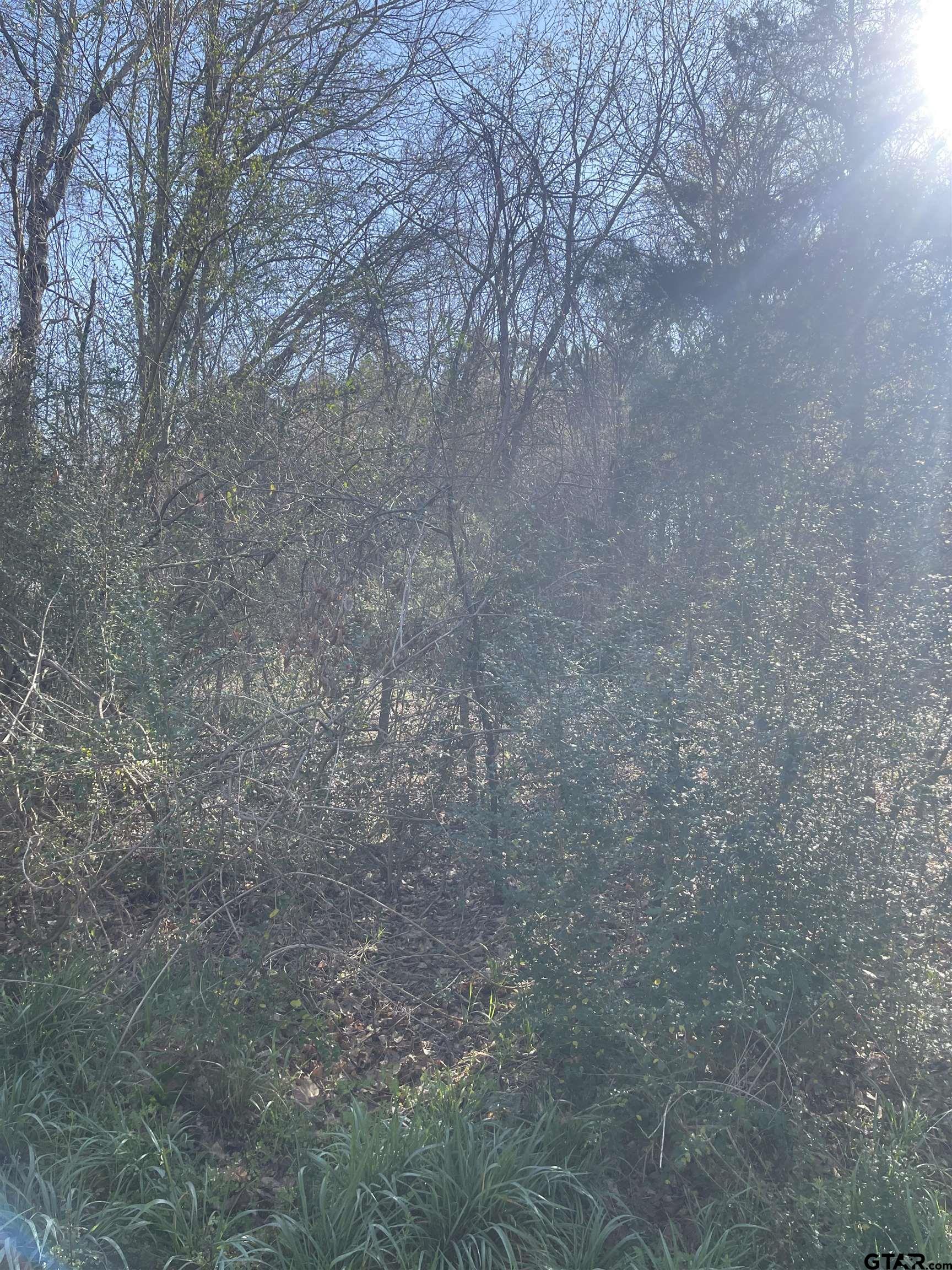 Land in Troup 3