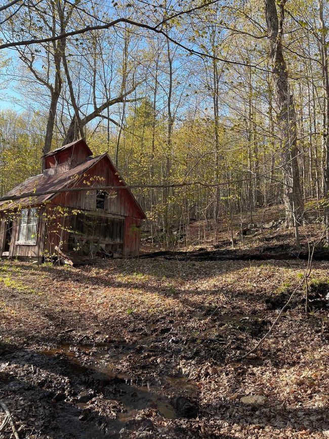 5000 Route 106, Home with 0 bedrooms, 0 bathrooms and null parking in Reading VT | Image 9