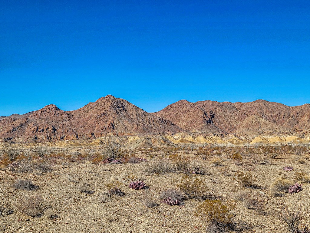 Land in Terlingua 3