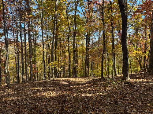 Lot2 Snidow Dr, Goodview, VA, 24095 | Card Image