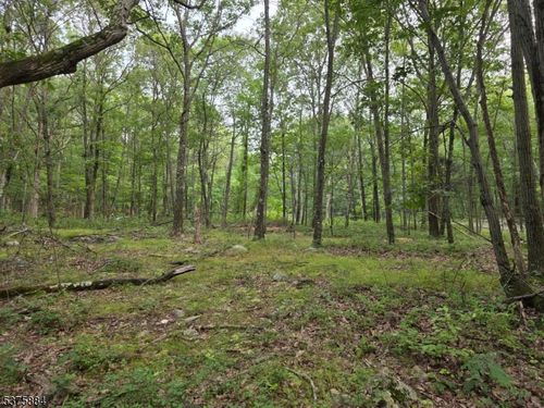 75 Far View Rd, Great Meadows, NJ, 07838-2701 | Card Image