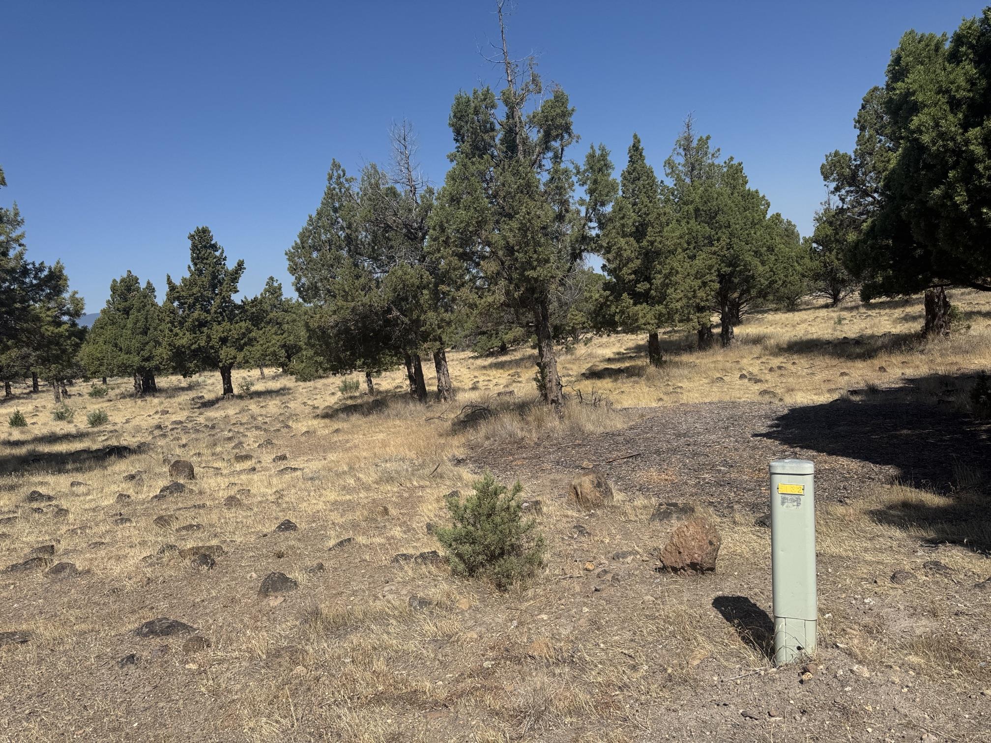 Land in Weed 2