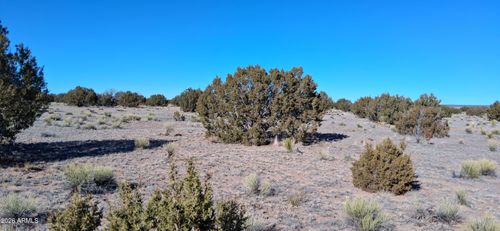 857-24 County Road N6578, Saint Johns, AZ, 85936 | Card Image