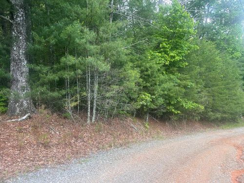 Lot 100 Ashe Ct, Ellijay, GA, 30540-2435 | Card Image