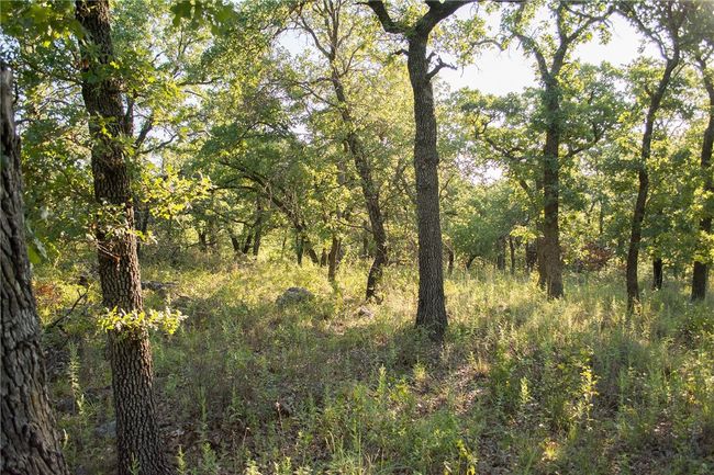1020 Post Oak Rd, Home with 0 bedrooms, 0 bathrooms and null parking in Gordon TX | Image 23