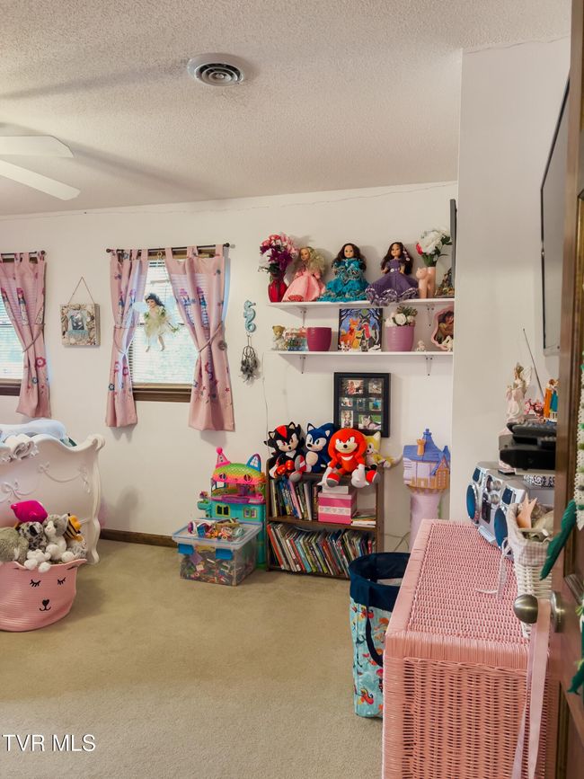 519 Foxgate Dr, House other with 3 bedrooms, 3 bathrooms and null parking in Erwin TN | Image 34