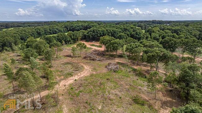 TRACT 2 Coldwater Creek Rd, Home with 0 bedrooms, 0 bathrooms and null parking in Dewy Rose GA | Image 16