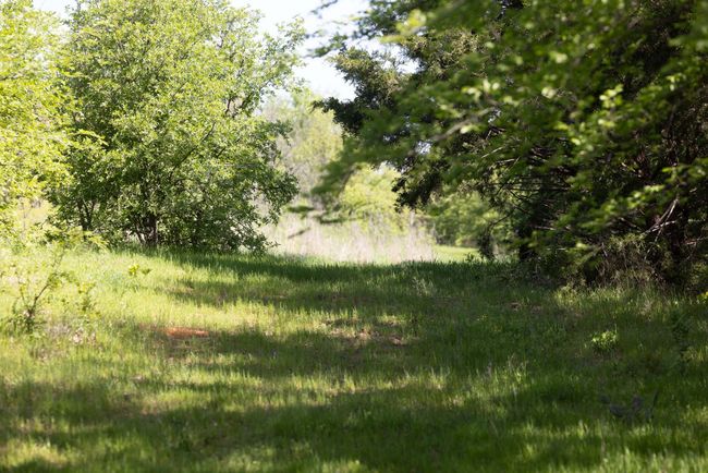 1346 Prairie Grove Rd, Home with 0 bedrooms, 0 bathrooms and null parking in Valley View TX | Image 32
