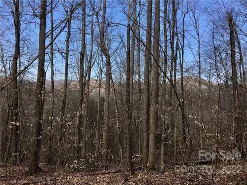 99 &57 Fern Hill Drive, Mars Hill, NC, 28754 | Card Image