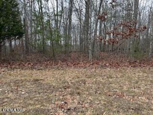 50148 Buckeye Ln, Crawford, TN, 38554 | Card Image