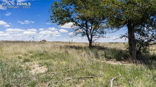 39320 Truckton Rd, Rush, CO, 80833-8507 | Card Image