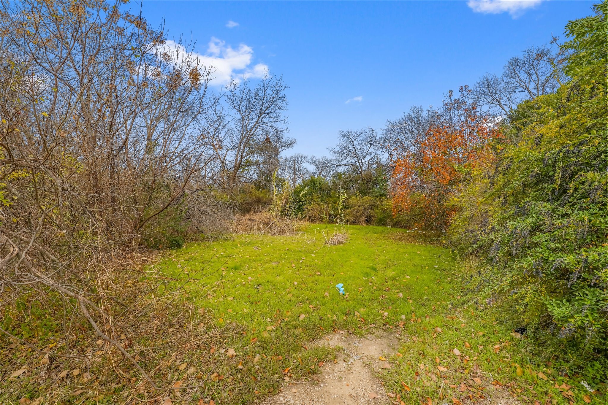 Land in Dallas 2