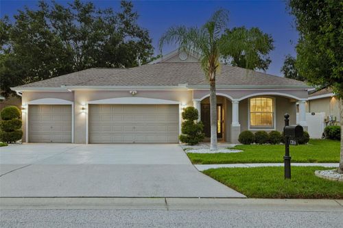 12816 Cattail Shore Ln, RIVERVIEW, FL, 33579-4070 | Card Image