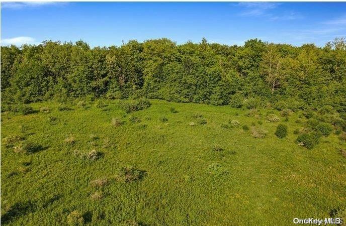 Land in Out of Area 2