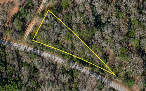 TBD W County Line Rd., Hemingway, SC, 29554 | Card Image