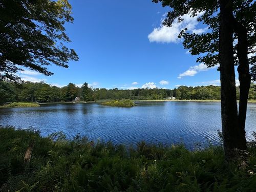 parcel 216 King Richard Dr, Becket, MA, 01223 | Card Image