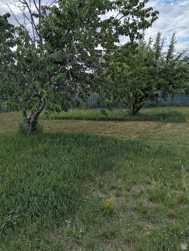 View of undeveloped land | Image 26
