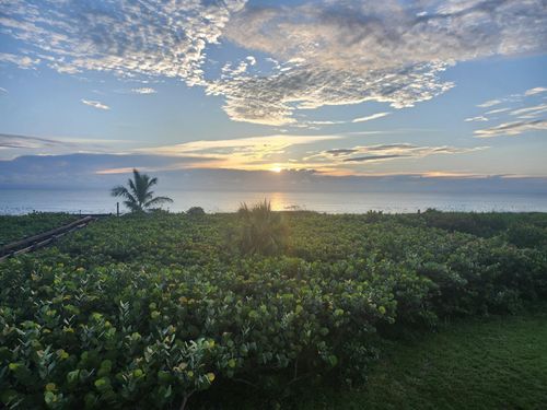 apt-202-3870 N Highway A1a, Hutchinson Island, FL, 34949-8512 | Card Image