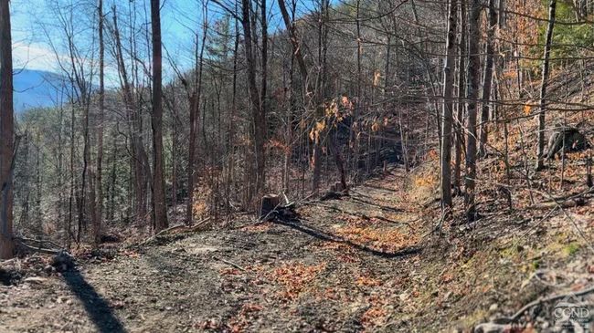 15 Gorge Rd, Home with 0 bedrooms, 0 bathrooms and null parking in Middleburgh NY | Image 7