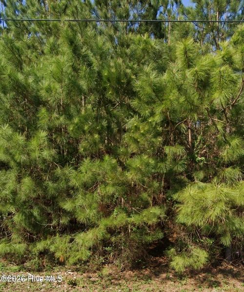 111 Windsor Ln, Edenton, NC, 27932-8926 | Card Image