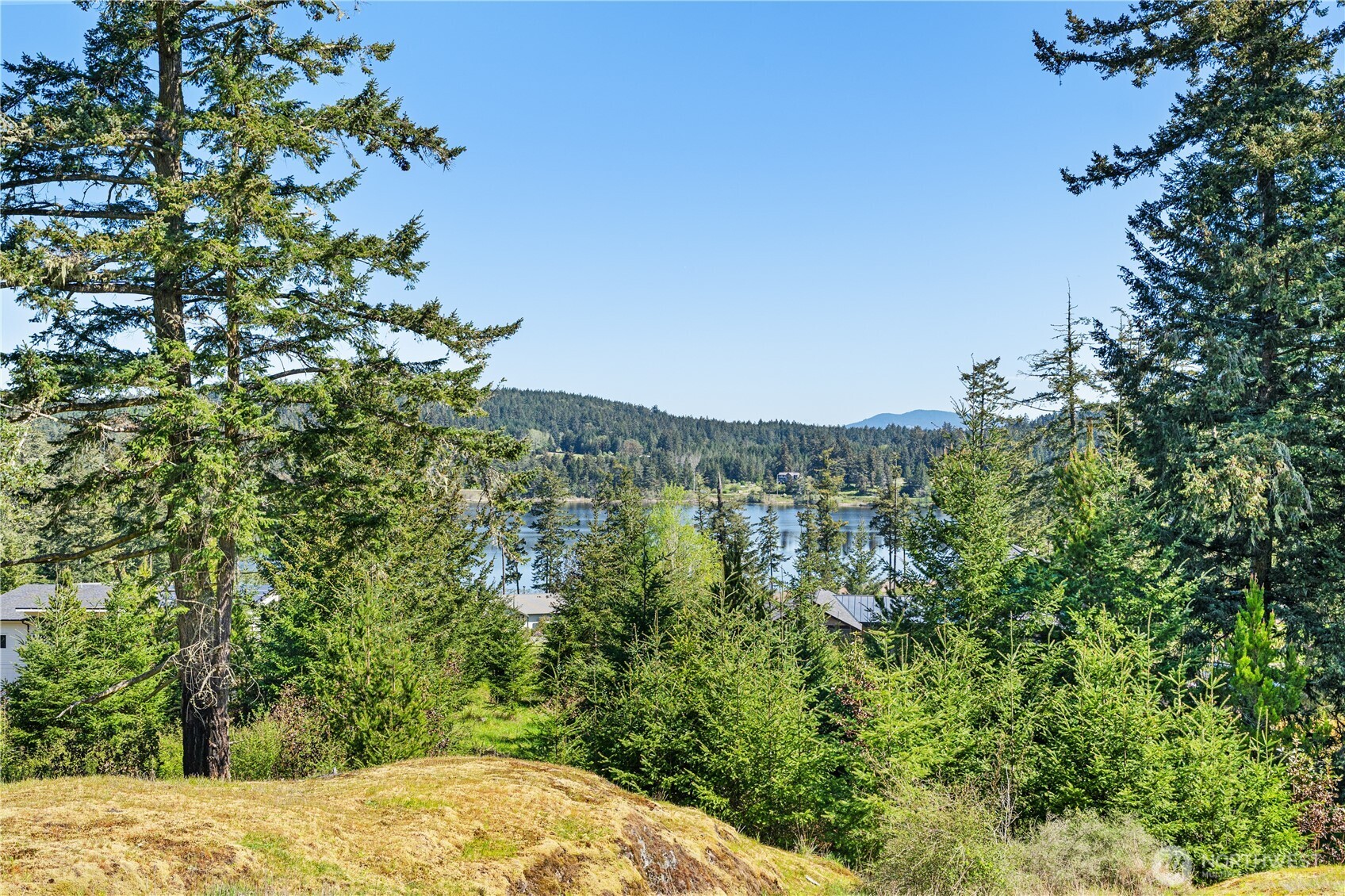 Land in Friday Harbor