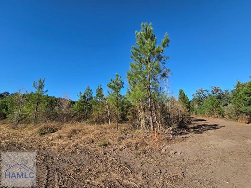 1 Acre W Oglethorpe Hwy, Hinesville, GA, 31313-3630 | Card Image