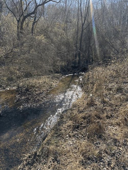 00 Heaton Rd, Marble, NC, 28905 | Card Image