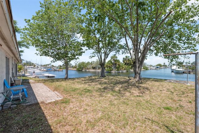 Back yard | Image 10
