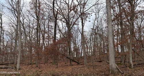 253 Point Cherokee Cir, Lake Ozark, MO, 65049-4918 | Card Image