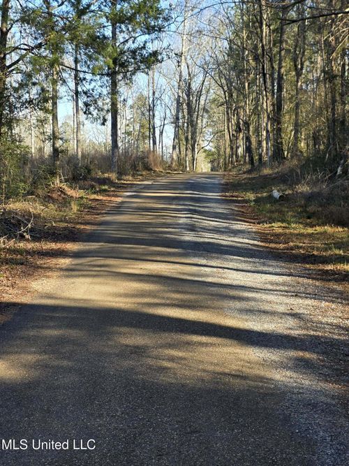 445 Se Hog Chain Drive, Bogue Chitto, MS, 39629 | Card Image