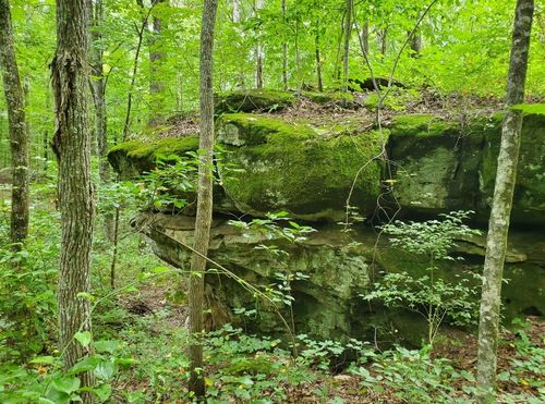 0 Main St, Beersheba Springs, TN, 37305 | Card Image