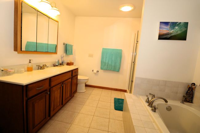 115 Marsh Hawk Dr, House other with 3 bedrooms, 4 bathrooms and 2 parking in Le Roy IL | Image 13