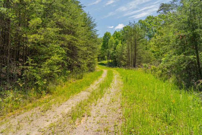 0 Echo Point Rd, Home with 0 bedrooms, 0 bathrooms and null parking in Dunlap TN | Image 28