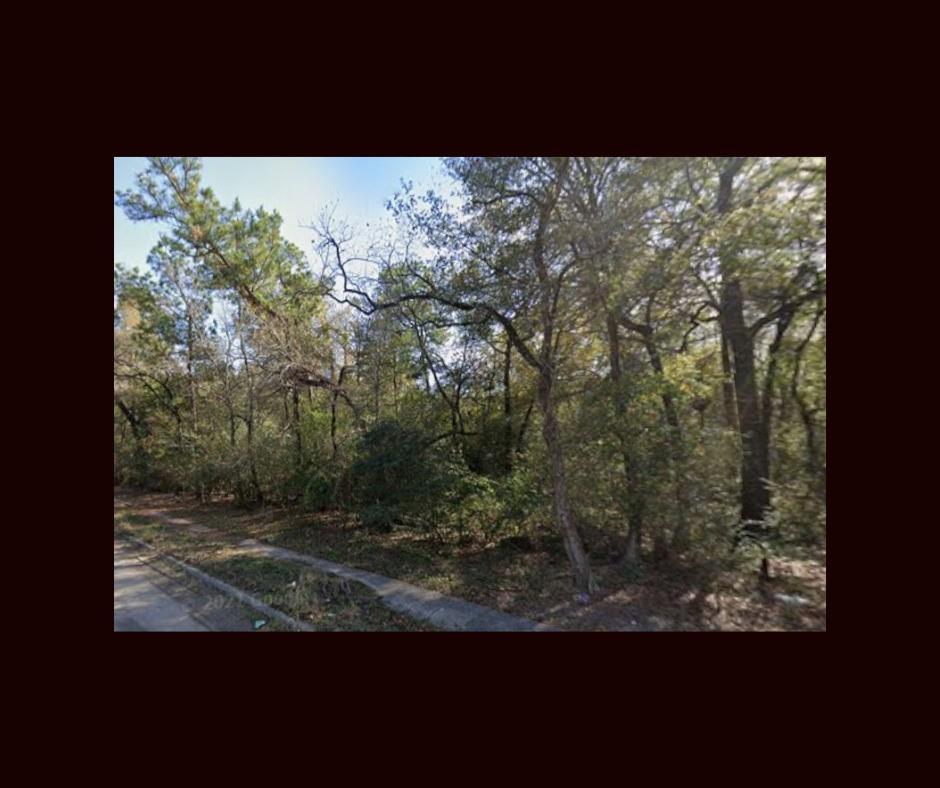 Land in Houston 5