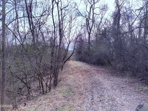 0 Chickory Road, Newport, TN, 37821 | Card Image